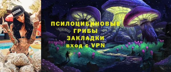 PSILOCYBIN Кинешма