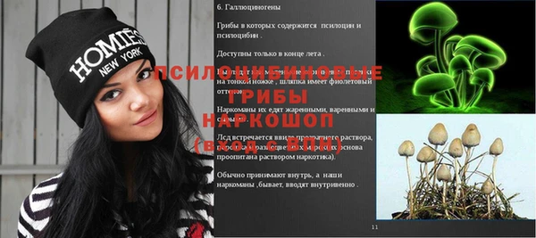 стафф Киренск