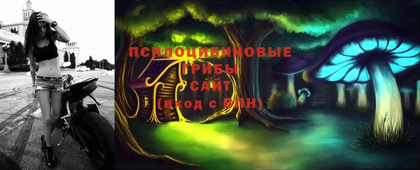 PSILOCYBIN Кинешма