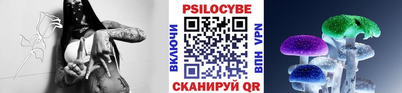 Псилоцибиновые грибы прущие грибы  Чегем 